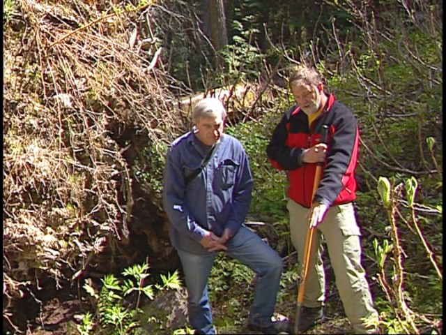 Example of a Translocation Soil Formation Process – Soil Mixing (Pedoturbation) by Windthrow