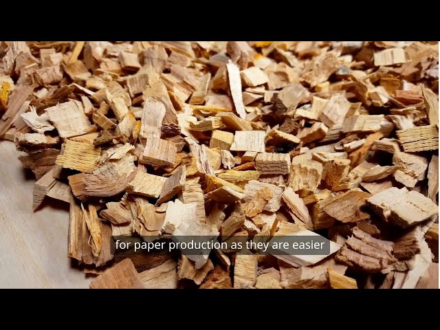 Model 13 II Mechanical Pulping II Paper Manufacturing II Education II Paper II Diploma II