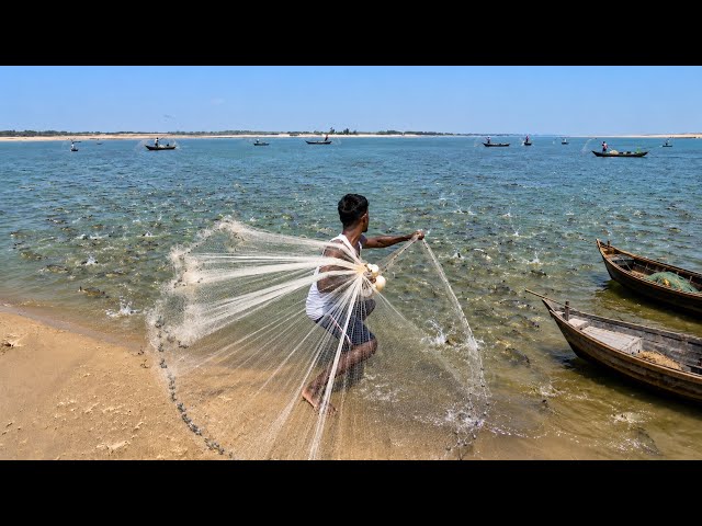 Fishing Net Video - Traditional Net Fishing Village in River With Beautiful Natural 