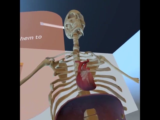 Education in the metaverse - Unity VR Multiplayer