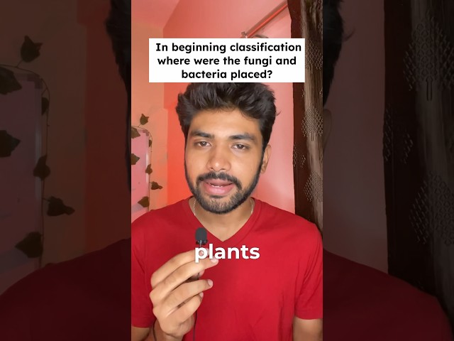 360/360 in NEET 2024 Biology | Revision Series for last 10 Days | Biological Classification class 11