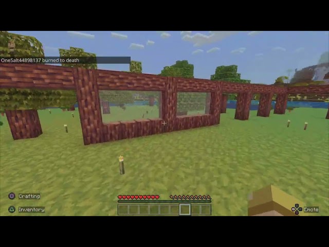 Minecraft 200 Mobs Ep 7, We have dragon eggs!?