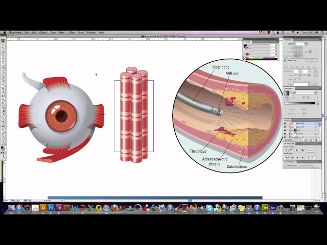 Overview of Graphics Software