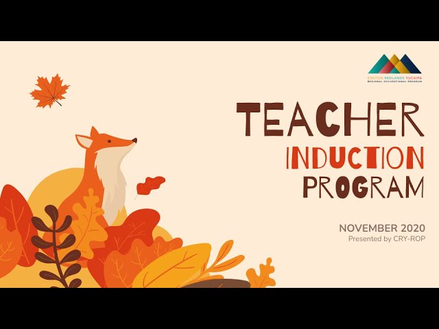 Foundations of CTE and Organizing Subject Matter (CSTP 3) | TIP November 2020