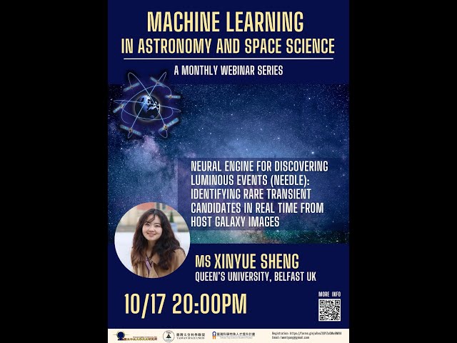 NEural Engine for Discovering Luminous Events (NEEDLE): identifying rare transient candidates ......