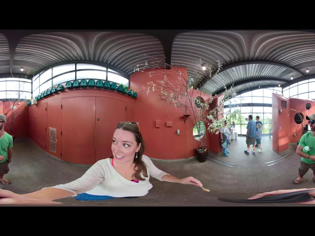 Cheyenne Mountain Zoo with the Roaming Cat