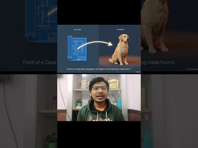 Python OOP Explained | Classes and Objects for Beginners