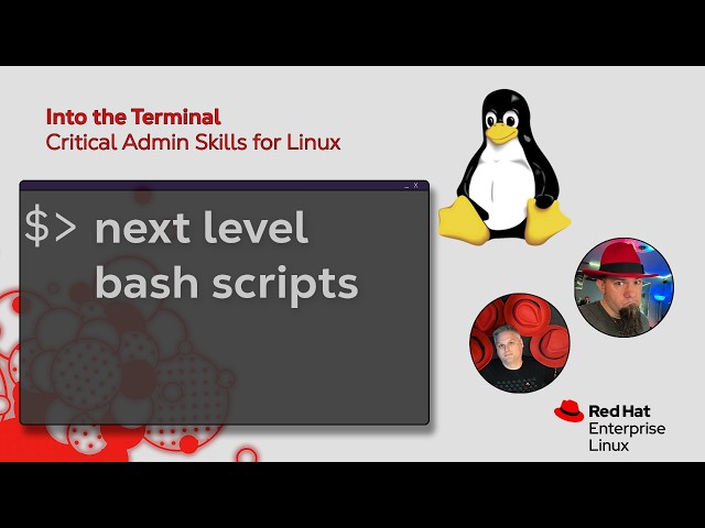Take your bash scripts to the next level  | Into the Terminal 203