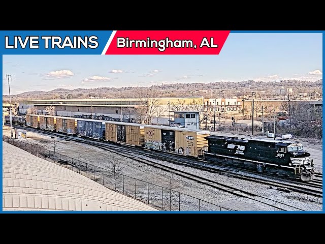 🔴 LIVE Trains Railcam | Birmingham, Alabama (PTZ)