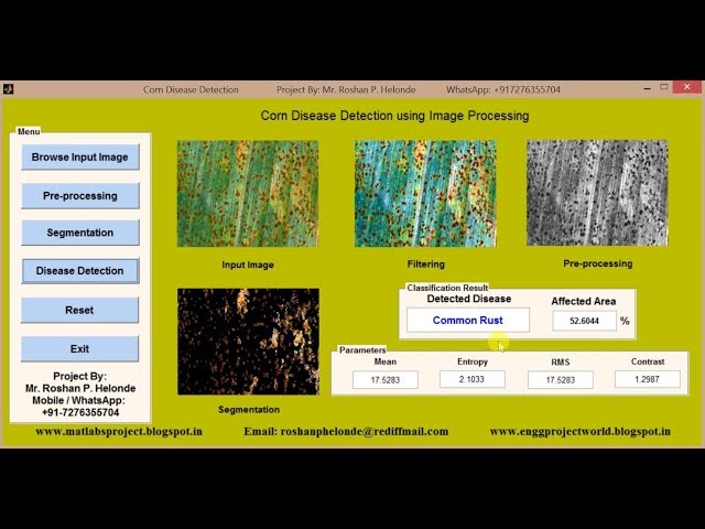 Corn Disease Detection using Image Processing