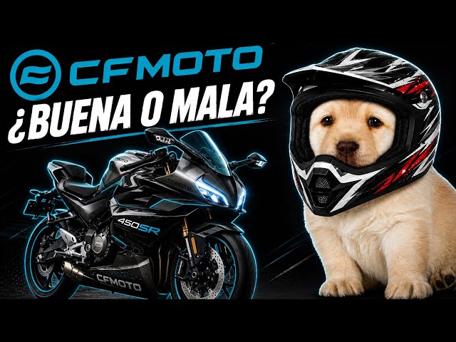CF Moto: The Best Buy or a Huge Mistake? | 2026