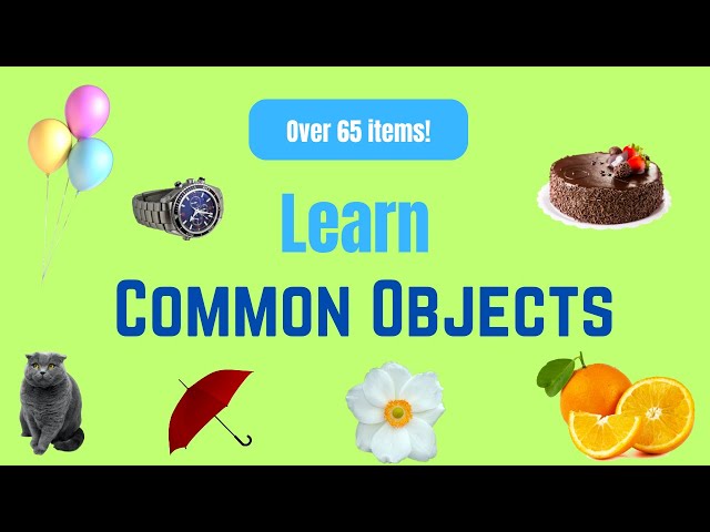 Learn Common Objects-Common Object Identification for Toddlers and Children -Toddler Learning Video