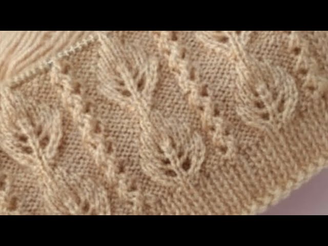 Knitting pattern for ladies sweater / cardigan / jacket / design | top / kurti design