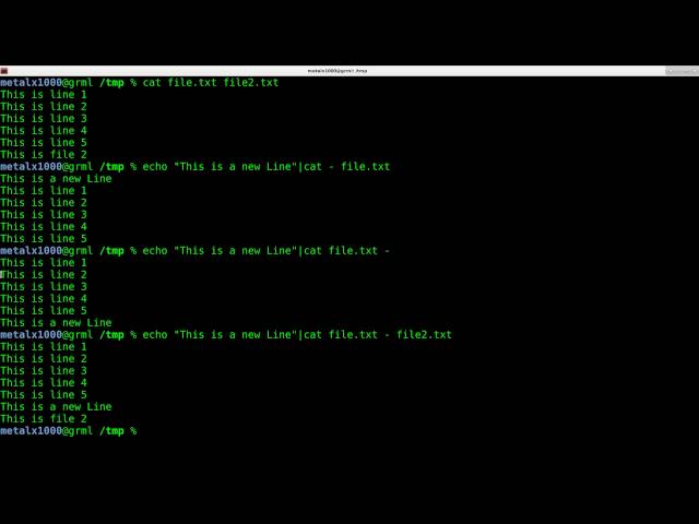 Prepend Text to a File output Linux Shell Script tutorial