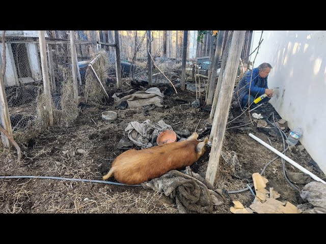 Uncle Vitaly Saving The Day #Broken #House #Repair