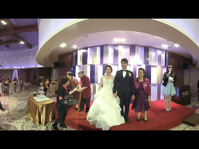 Anita Wedding 360 vr