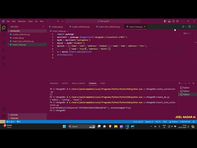 MongoDB with Python