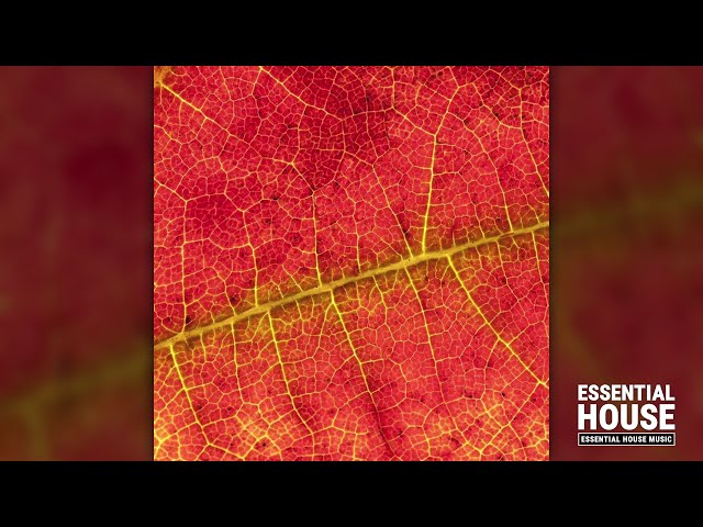 Tim Green - The Way Things Were (Original Mix)