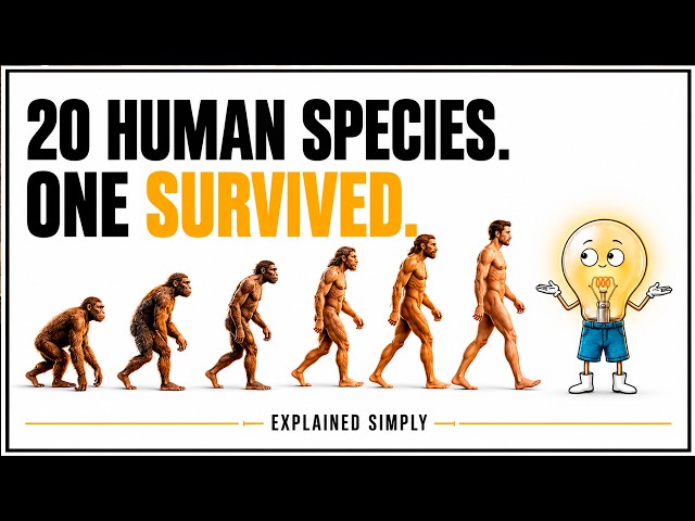 Human Evolution Explained Simply  in 11 Minutes