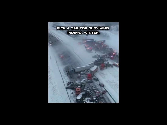 Which car will you choose?