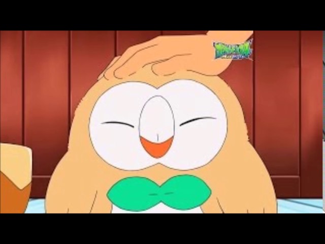 Ash has captured Rowlet