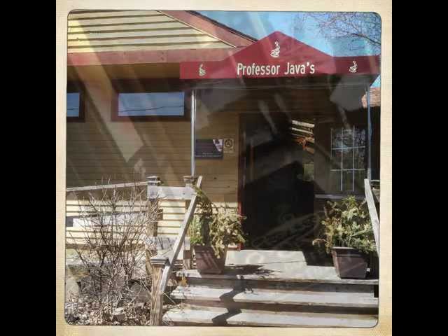Professor Java's Coffee Sanctuary