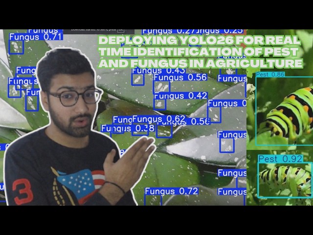 Deploying YOLO26 for Real Time Identification of Pest and Fungus in Agriculture