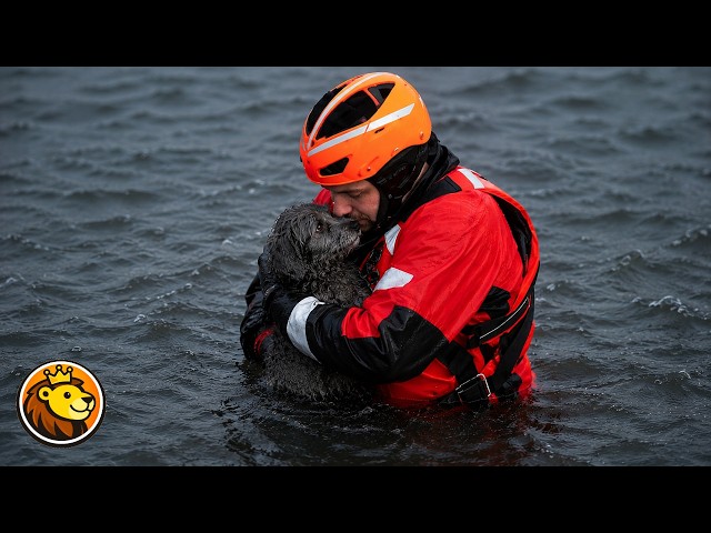 Dog Hugs Rescuer After Emotional Rescue ❤️👏