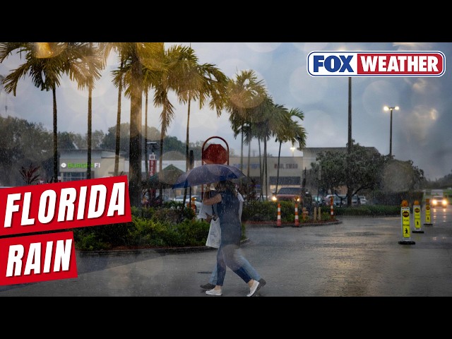 Area To Watch For Tropical Development In Gulf To Bring Downpours To Drought-stricken Florida