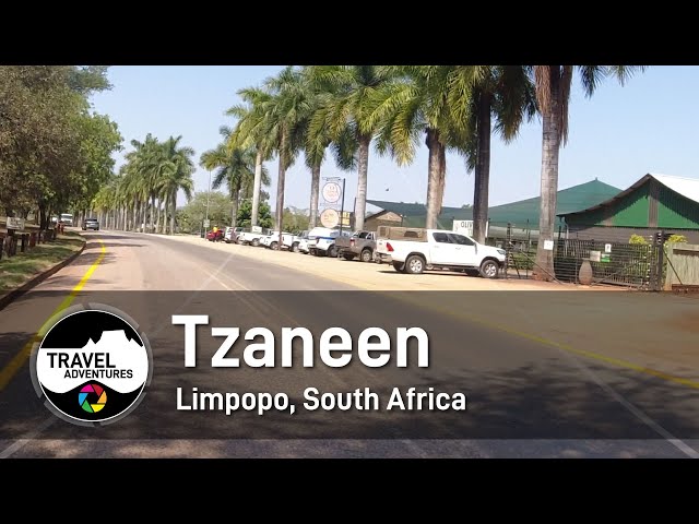 Tzaneen Limpopo South Africa