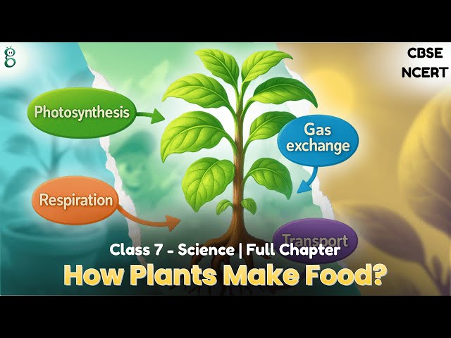 Class 7 Science | Chapter 10 | Life Processes in Plants | NCERT - CBSE