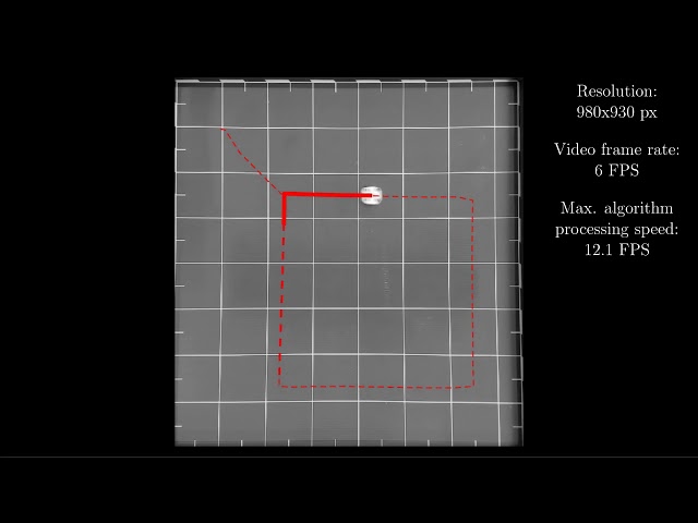 Visual localization of minirobots based on block-matching and optical flow