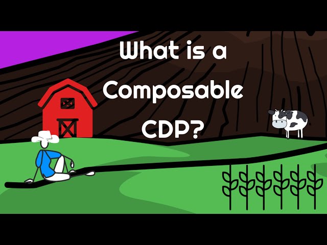 What is a Composable CDP?