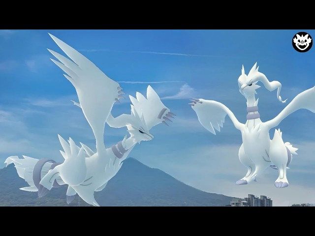 🔥 Early Reshiram Raid Invite Pokémon GO