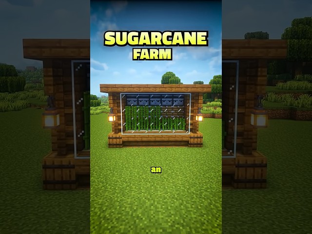 Minecraft Sugarcane Farm 🌿💧 | Easy & Efficient Auto Farm Tutorial!