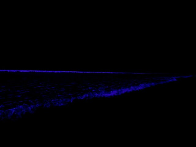 (No Ads) Deep Relaxation Music • Ocean Sounds For Fall  Asleep Instantly With Waves In Quiet Night