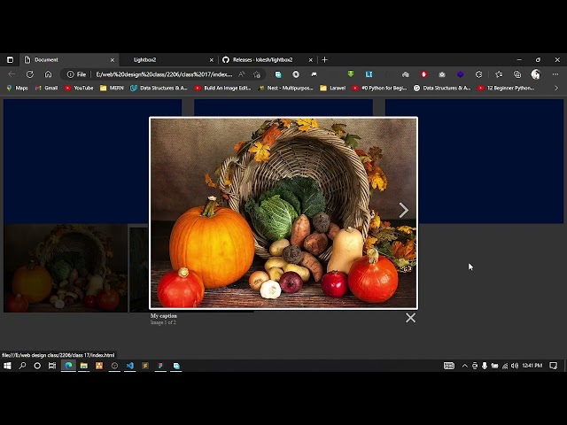 LightBox Countre Jquery in Javascript || Tutorial for Beginners in Bangla Episode 17 | #bakerbhai420