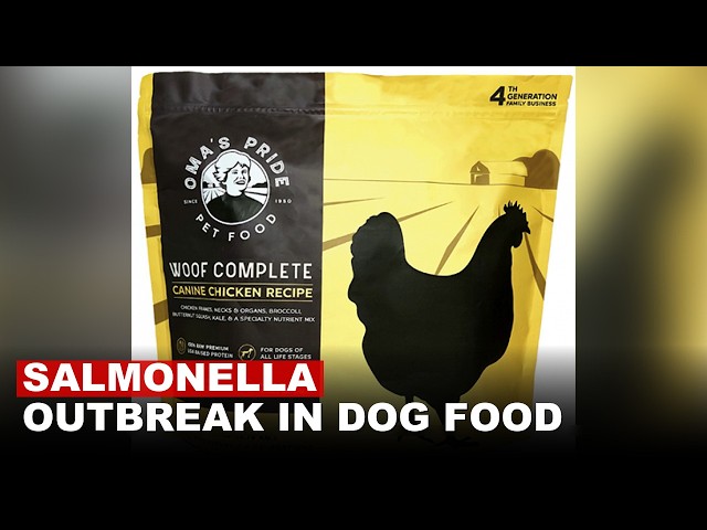 Oma Pride Recalls Dog Food After Salmonella Outbreak Sickens Pets