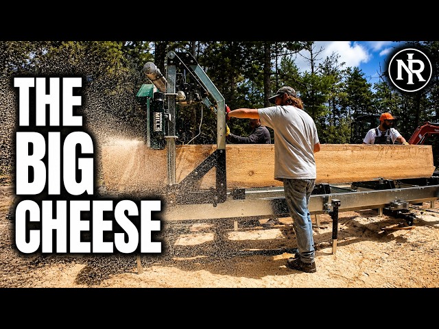 This Massive Pine Sat a Year | Here's What the Sawmill Gave Us