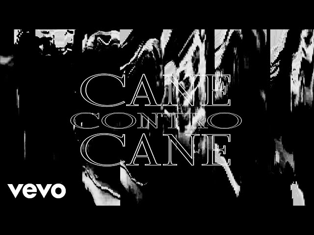 18K, 4997 - Cane Contro Cane (Visual)