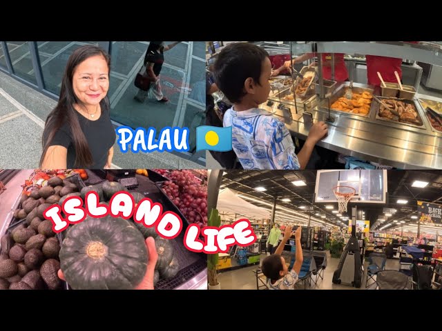 VIDA EN LA ISLA DE PALAU EN MICRONESIA 🇵🇼