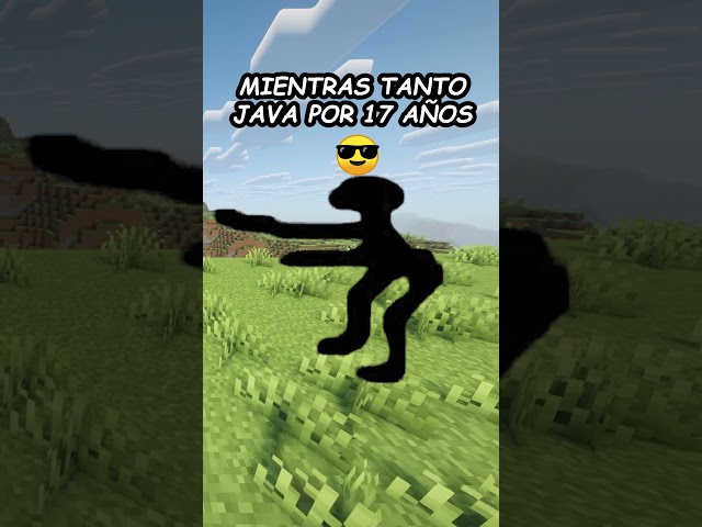 Do you prefer Bedrock or Java? 🤔 #foryou #shorts #minecraft #minecraftmemes #minecraftshorts