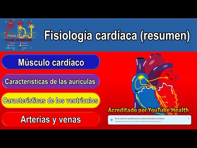 Fisiología cardiaca (resumen)