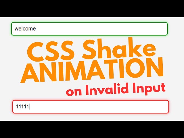 CSS Animation On Input Valid InValid Shake Animation CSS | HTML CSS Animation | Js Input Validation