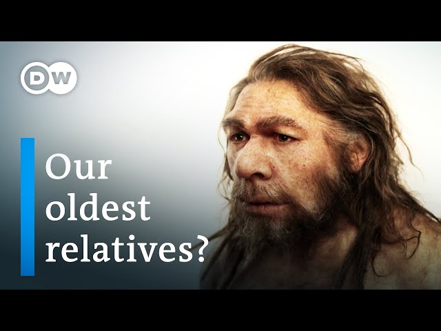 Who were the Neanderthals? | DW Documentary