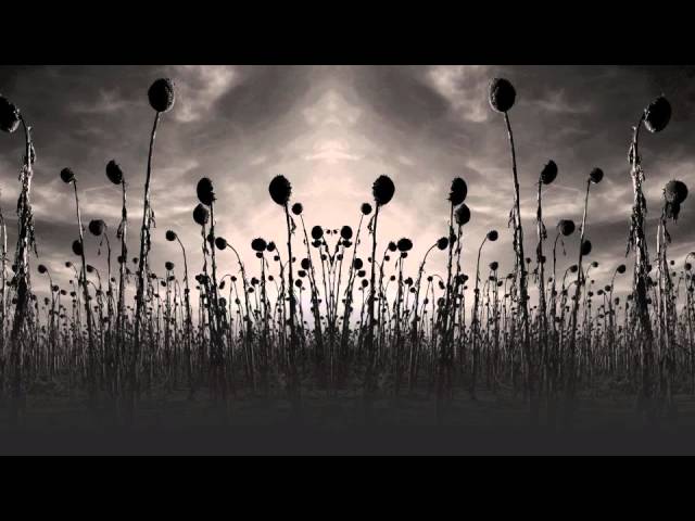Dead Can Dance - 'Kiko'