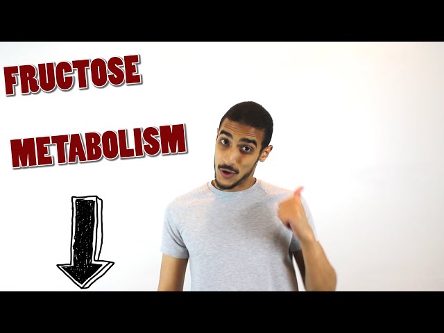 Fructose metabolism step by step