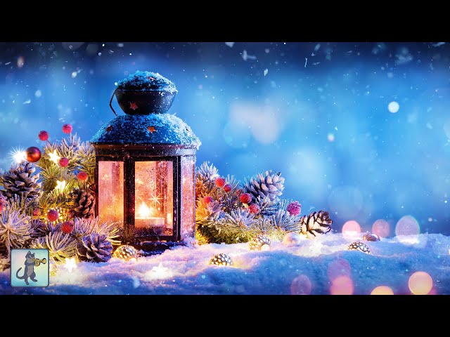 Relaxing Christmas Piano Music 🎄🎅 Traditional Christmas Songs • Instrumental • Christmas Music 2021