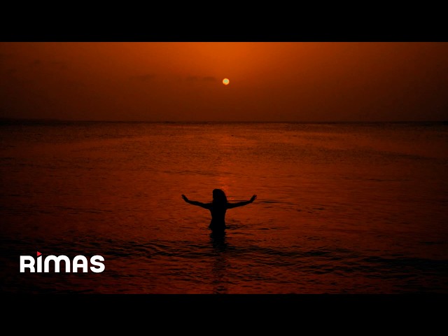 Cultura Profética - Bruna (Visualizer) | En Bucle