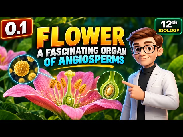 Flower – A Fascinating Organ of Angiosperms | 12th Biology | Sexual Reproduction in Flowering Plants